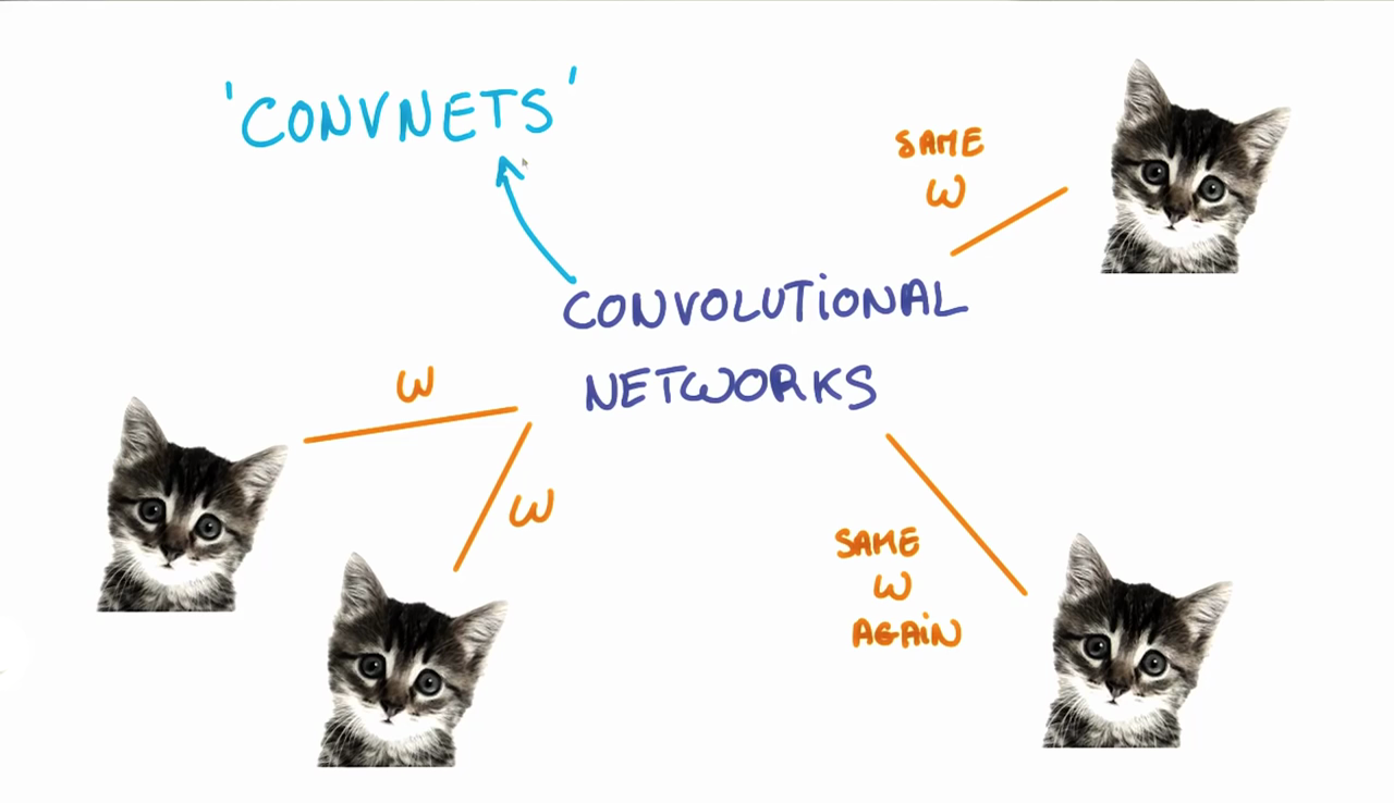 The weights, `w`, are shared across patches for a given layer in a CNN to detect the cat above regardless of where in the image it is located.